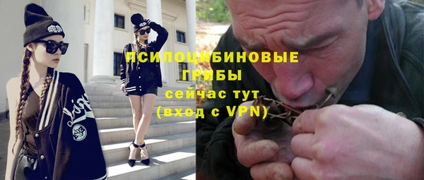 индика Балахна