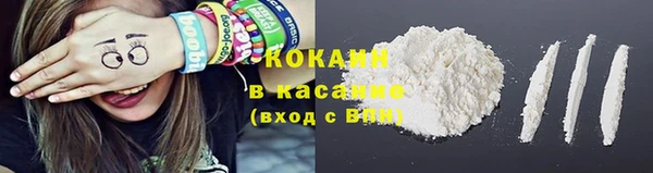 индика Балахна