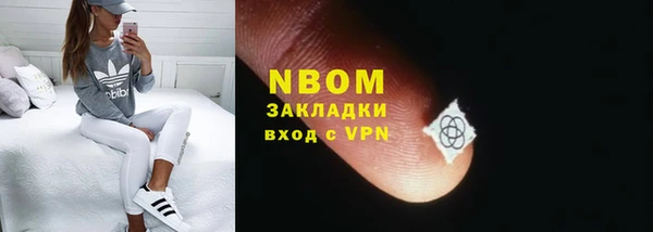 индика Балахна
