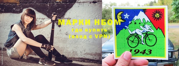 индика Балахна