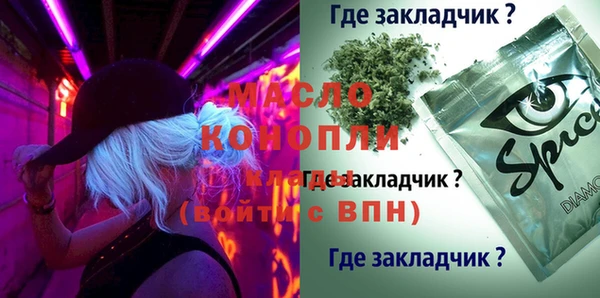 индика Балахна