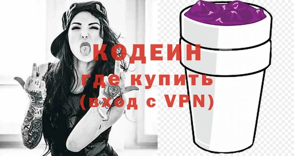индика Балахна