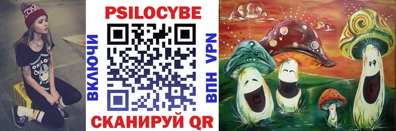 Псилоцибиновые грибы Psilocybe  KRAKEN   Белозерск 